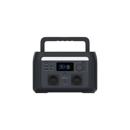 PS 1000