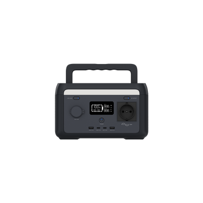 PS 300
